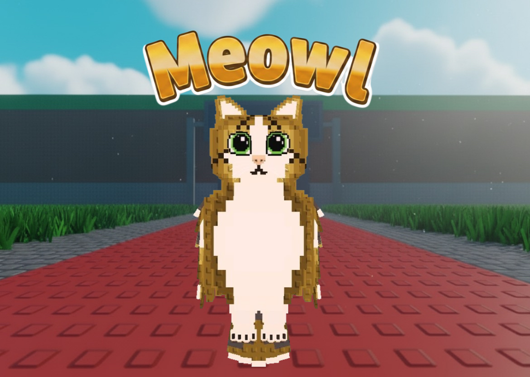 Meowl